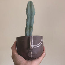 Load image into Gallery viewer, Face Planter - brwn clay