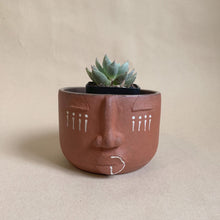Load image into Gallery viewer, Face Planter - red clay

